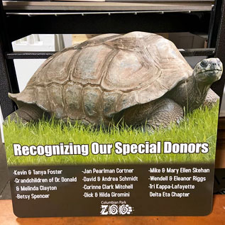 placeholder image-sq